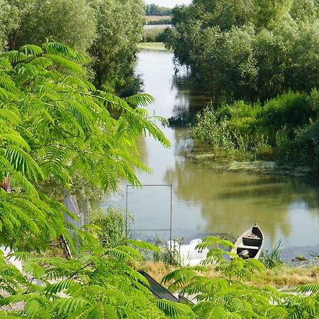 Pensiunea Yogi Dunavăţu de Jos Exteriér fotografie