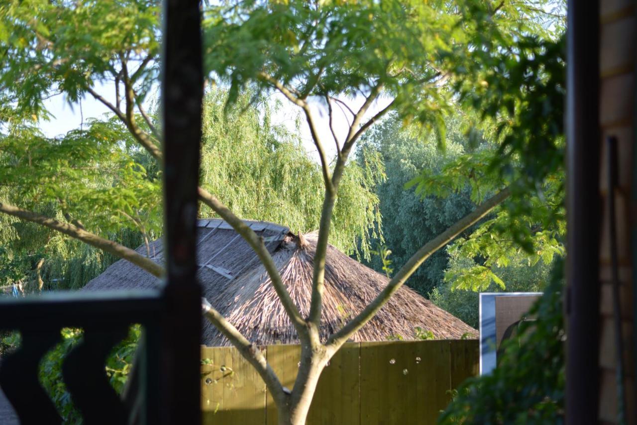 Pensiunea Yogi Dunavăţu de Jos Exteriér fotografie