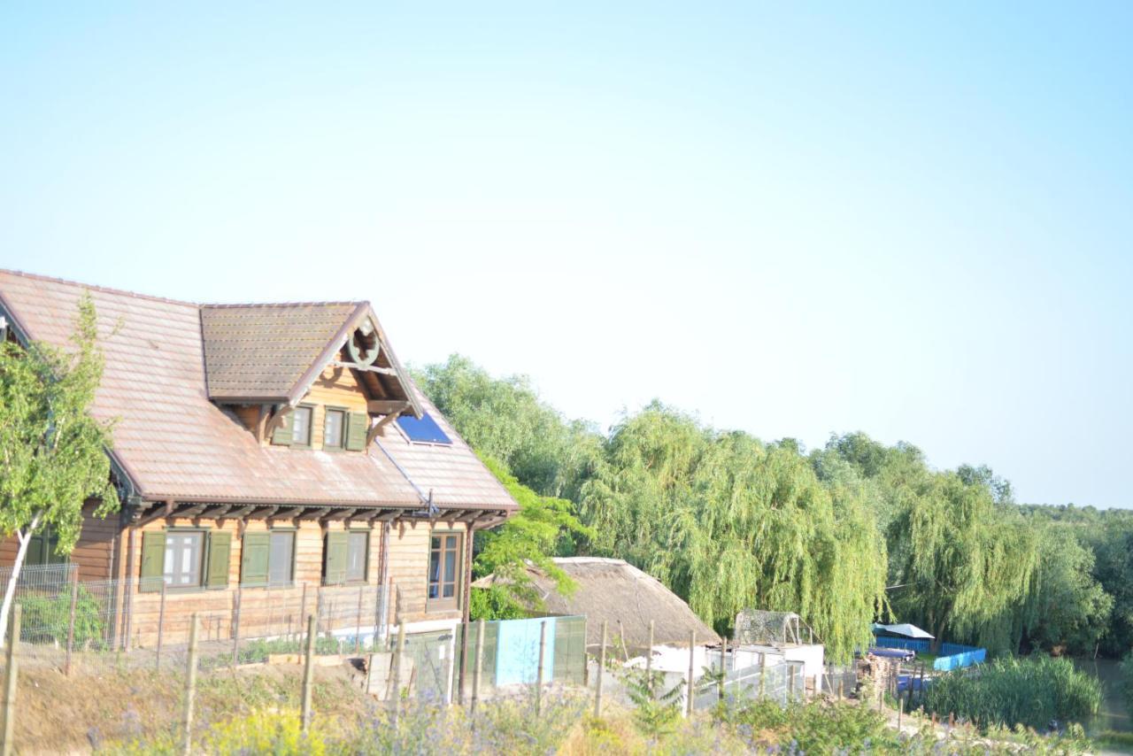 Pensiunea Yogi Dunavăţu de Jos Exteriér fotografie