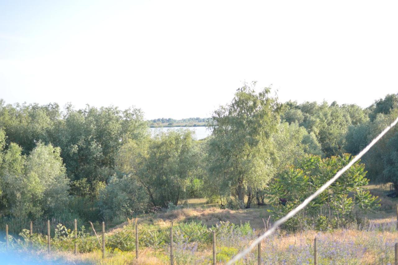 Pensiunea Yogi Dunavăţu de Jos Exteriér fotografie