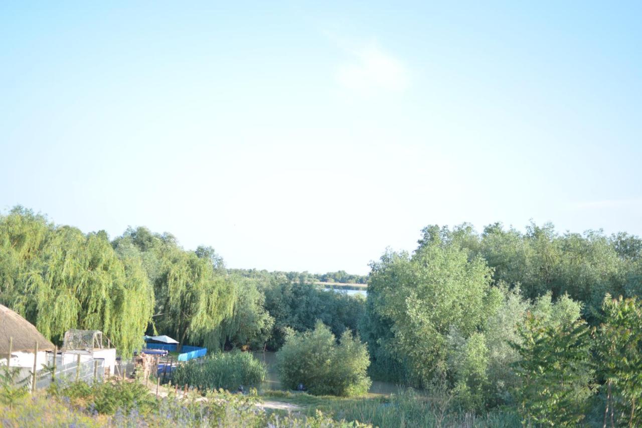 Pensiunea Yogi Dunavăţu de Jos Exteriér fotografie
