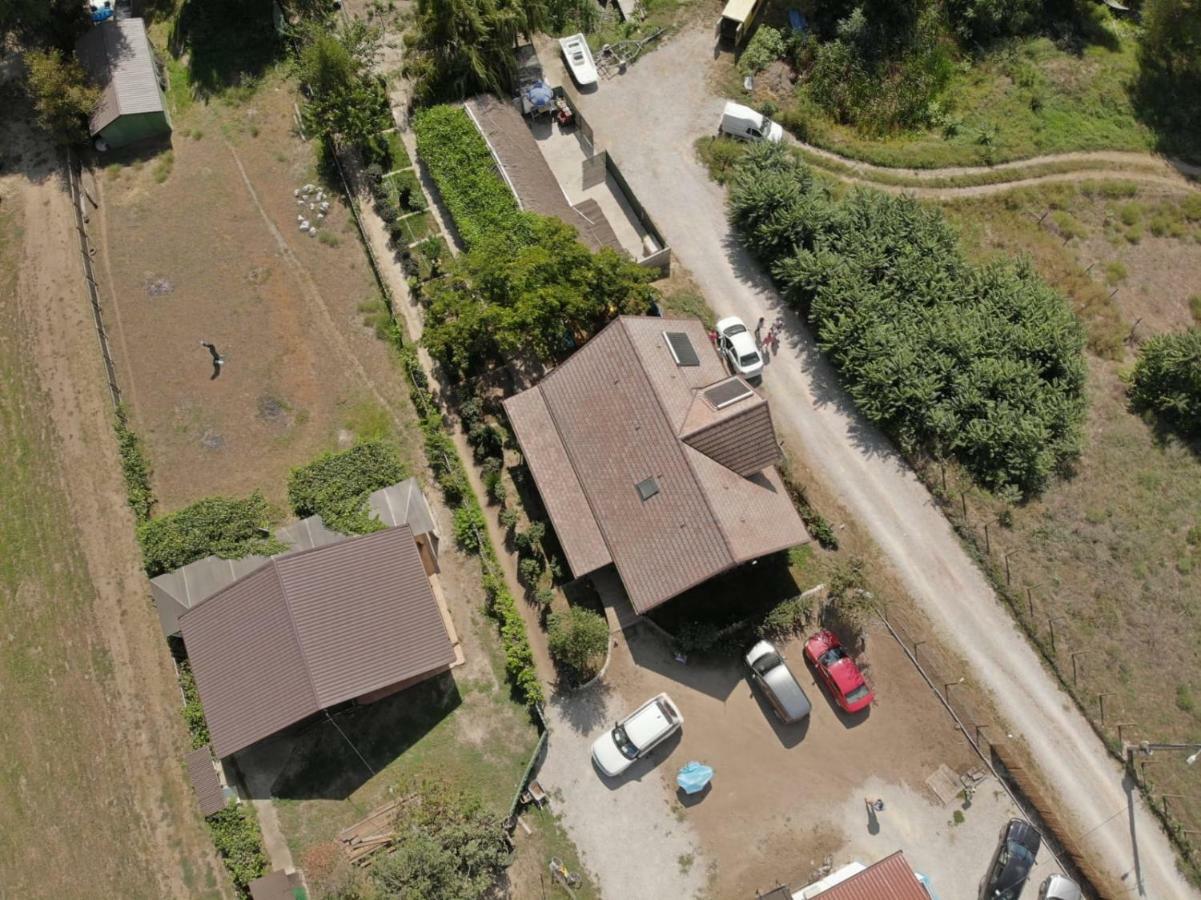Pensiunea Yogi Dunavăţu de Jos Exteriér fotografie